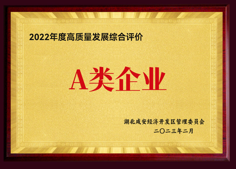 2022年度高质量发展综合评价 A类企业