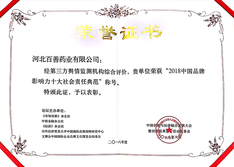 2018中国品牌影响力十大社会责任典范