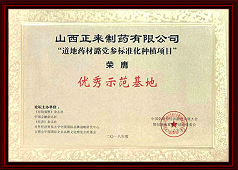 优秀示范基地