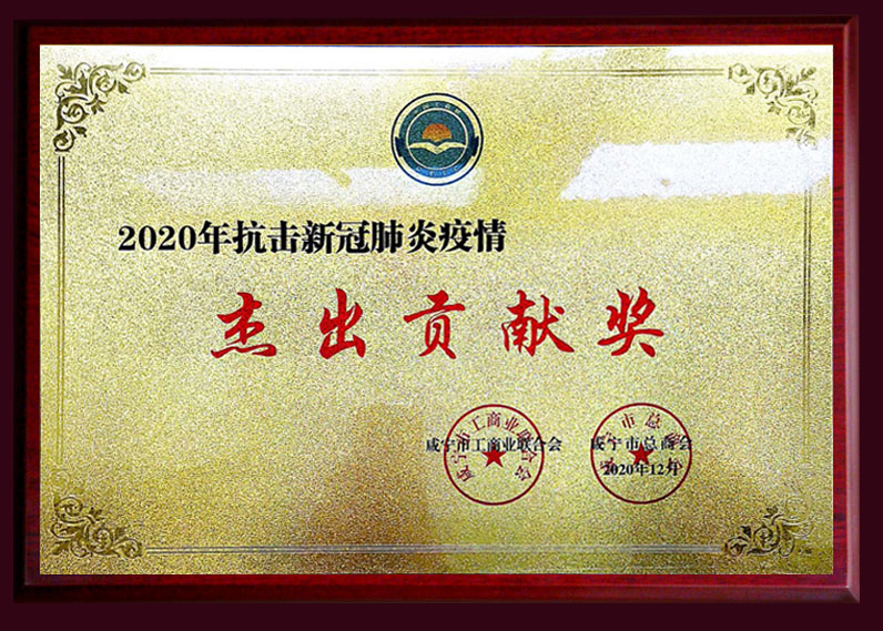 2020年抗击新冠肺炎疫情 杰出贡献奖