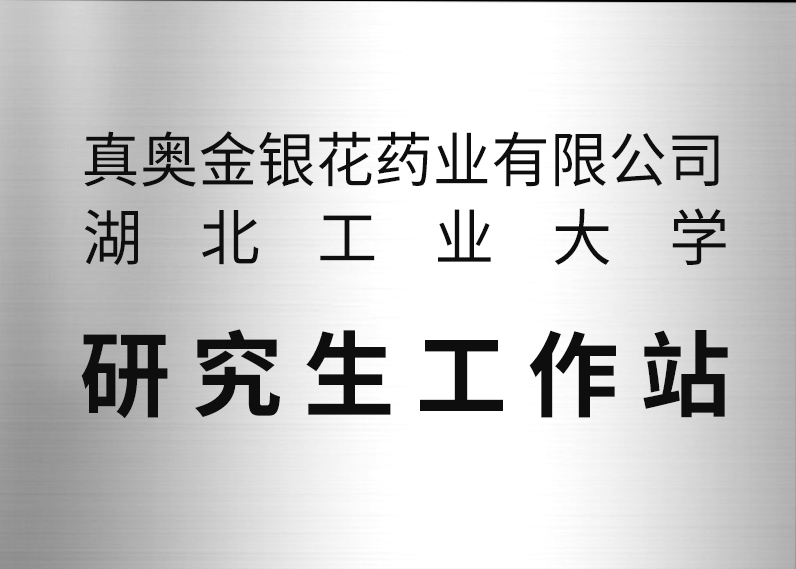 湖北工业大学 研究生工作站