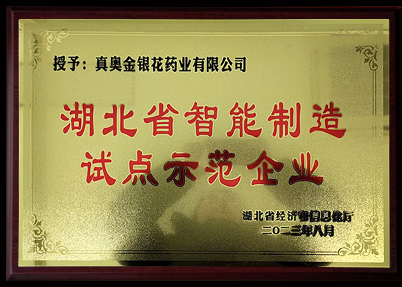 湖北省智能制造 试点示范企业