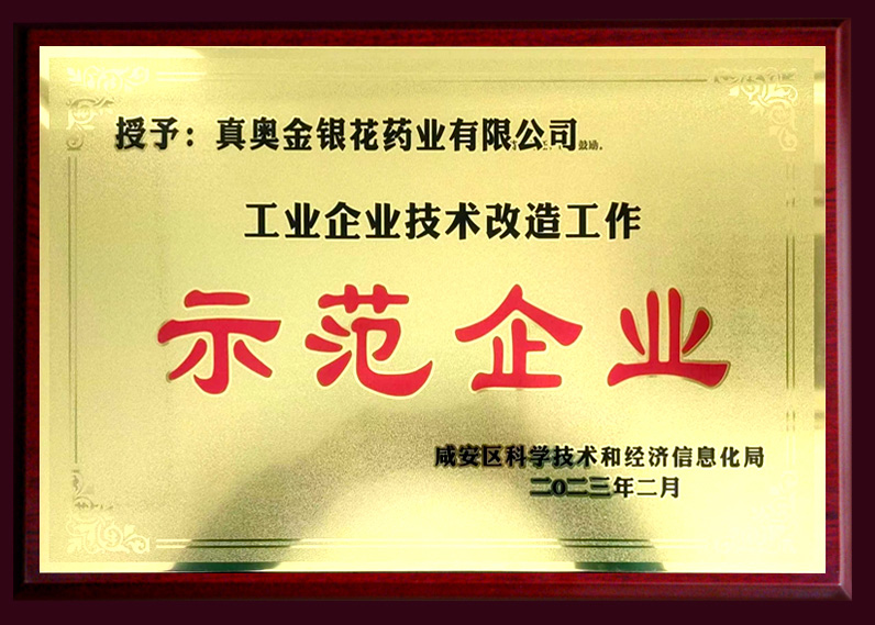 工业企业技术改造工作 示范企业