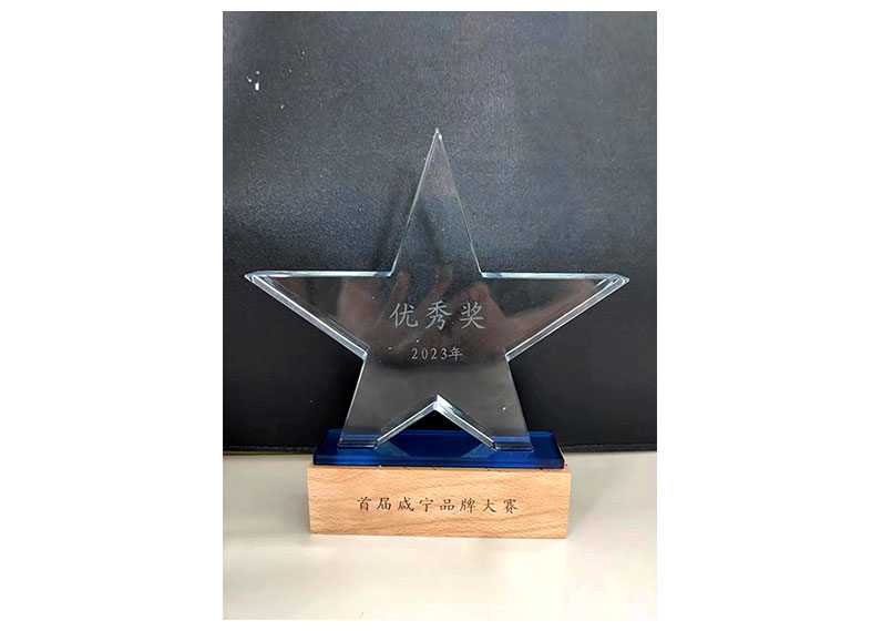 首届咸宁品牌大赛2023年优秀奖