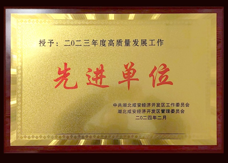 二0二三年度高质量发展工作先进单位