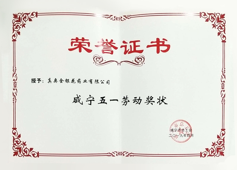 咸宁五一劳动奖状