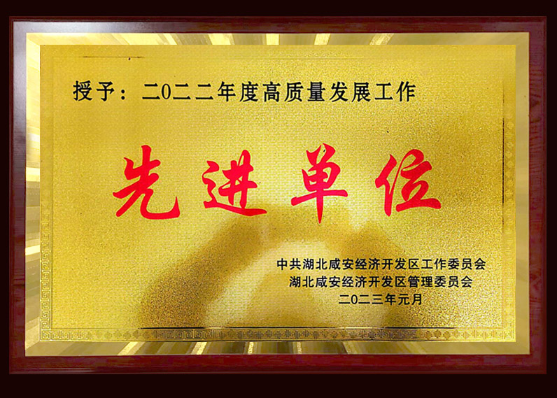 二0二二年度高质量发展工作先进单位
