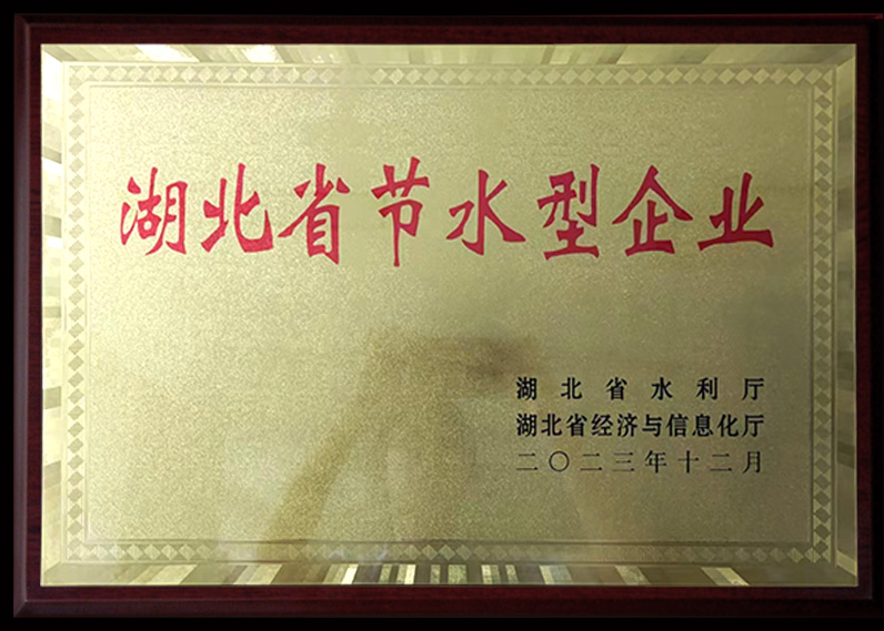 湖北省节水型企业