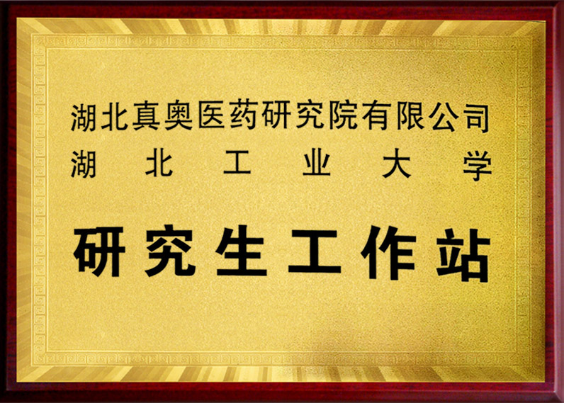 湖北工业大学研究生工作站