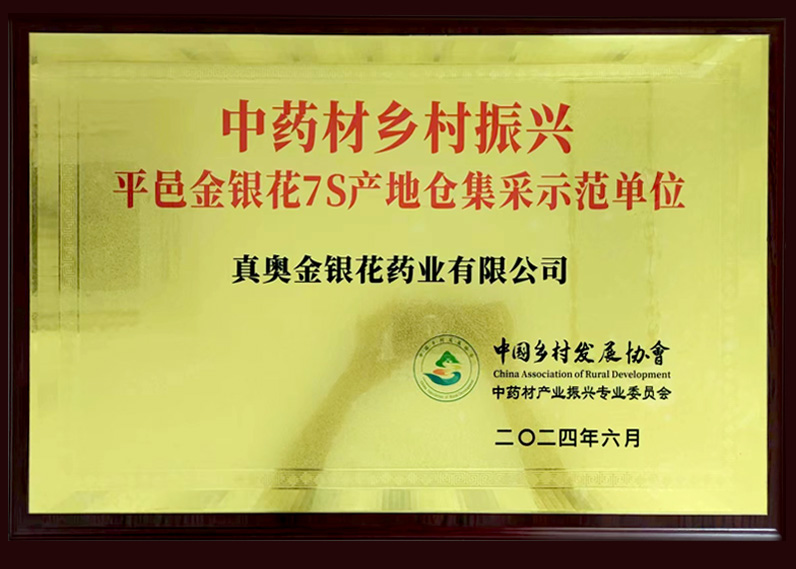 中药材乡村振兴 平邑金银花7S产地仓集采示范单位