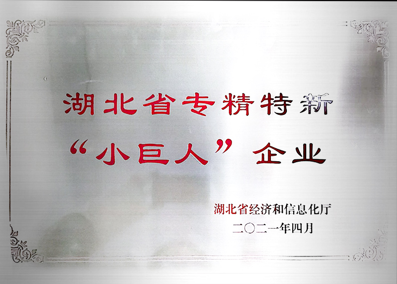 湖北省专精特新 “小巨人” 企业